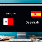 Traductor de euskera a castellano: gratis y oficial